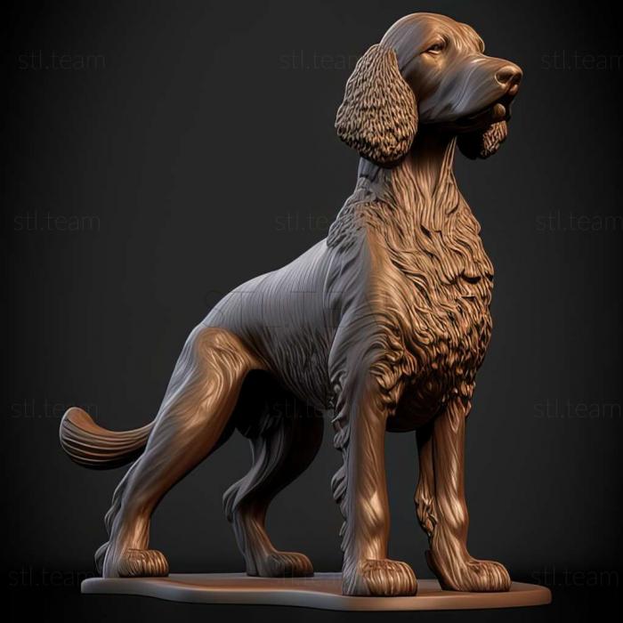 3D model Irish Water Spaniel dog (STL)